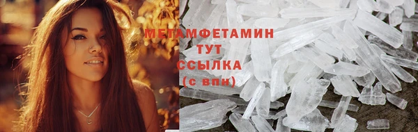 сатива Балахна