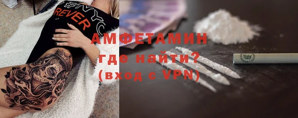 сатива Балахна