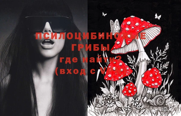 сатива Балахна