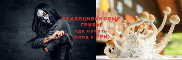 сатива Балахна
