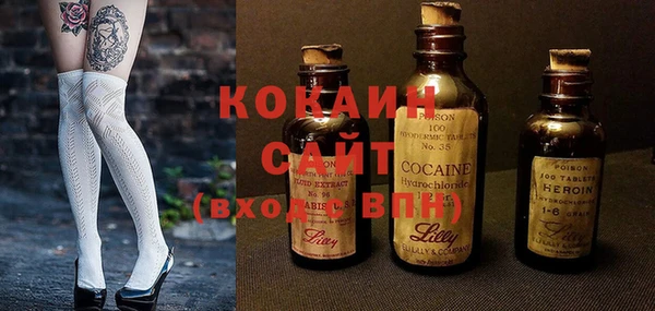 сатива Балахна