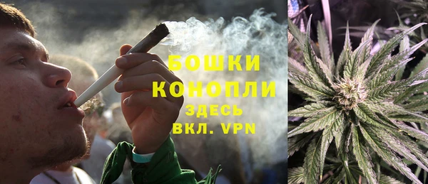 сатива Балахна
