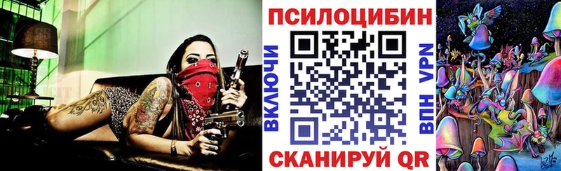 Галлюциногенные грибы Psilocybe  Белинский 